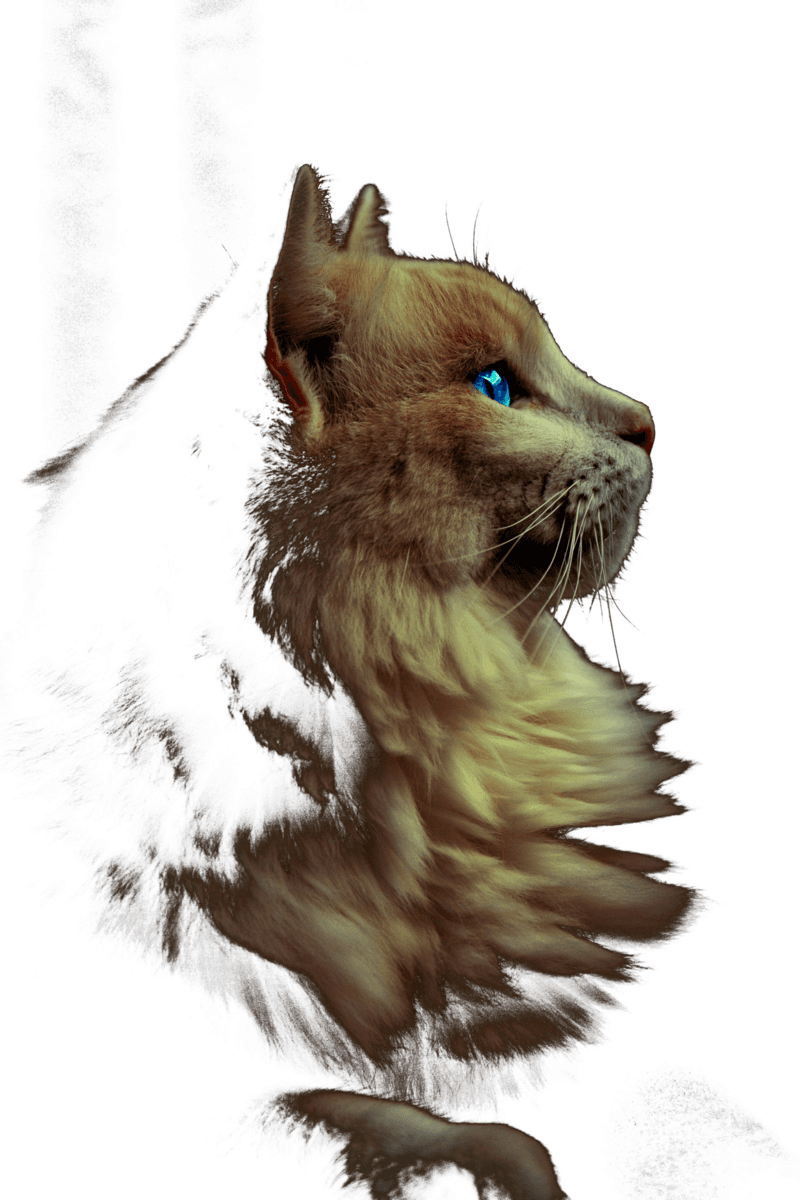 Gold Cat